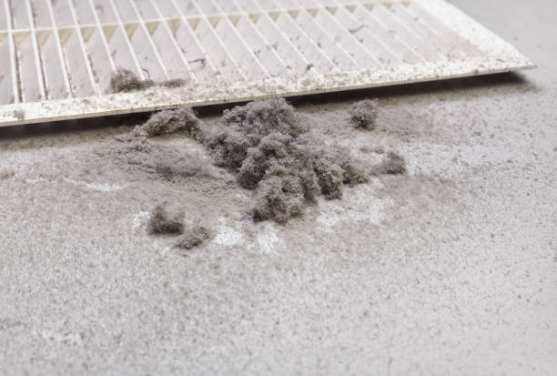 Best Home Air Vent Cleaning  in Shullsburg, WI